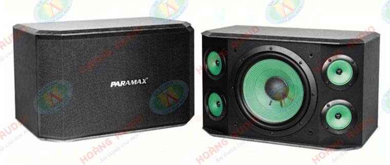 Loa Karaoke Paramax P1000