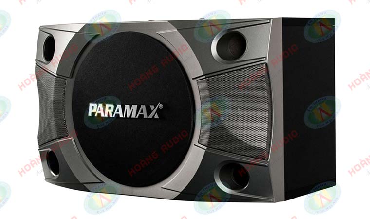 Loa Karaoke Paramax P 800