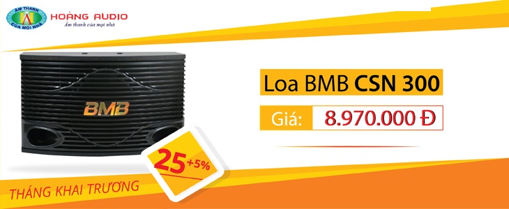 Mẫu loa karaoke giá rẻ nhất cho gia đình BMB CSN 300E