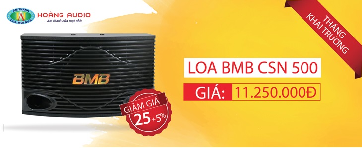 Loa karaoke gia đình tầm trung BMB CSN 300E