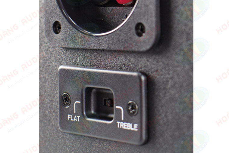Mặt sau loa BMB CSJ 210SE