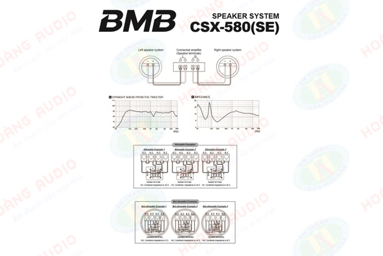 Các cổng kết nổi loa BMB CSX580 SE