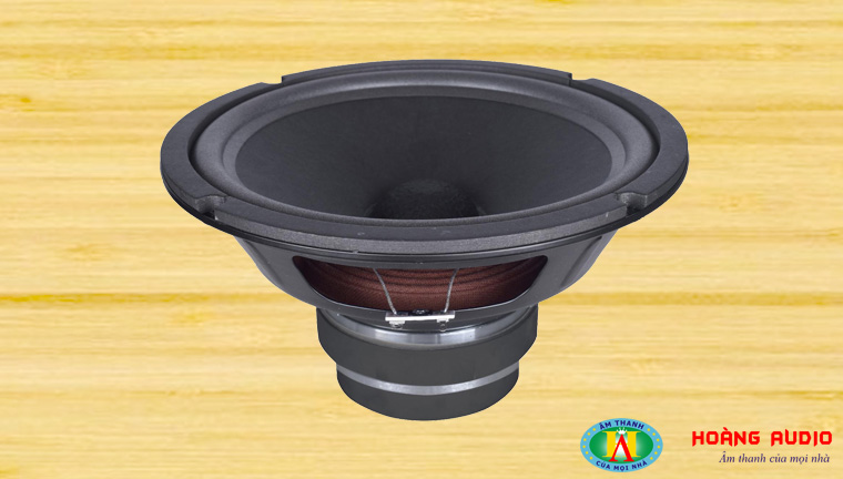 loa-bass-has-312e