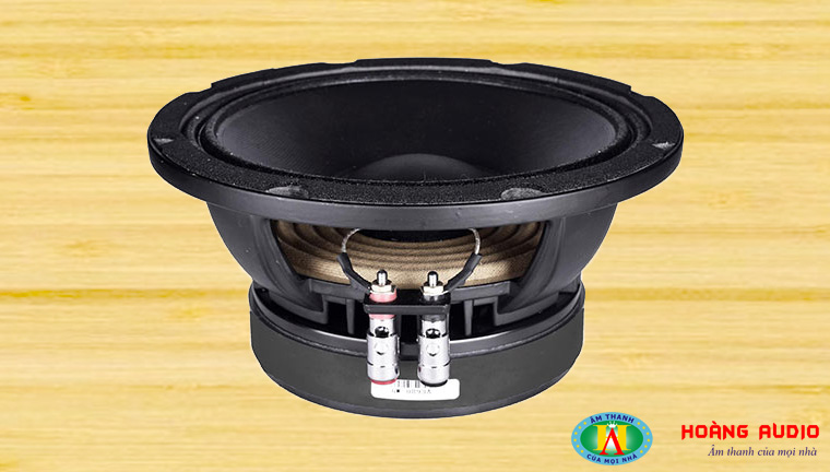 Loa-bass-HAS-FP08-1