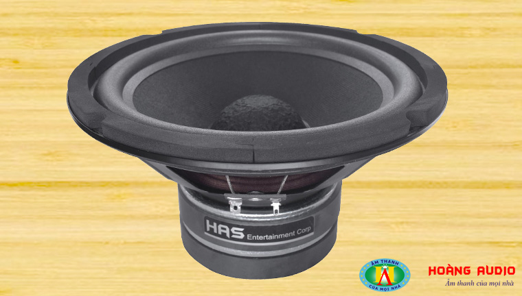 Loa-bass-has-kf308