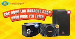Các dòng loa karaoke nhập khẩu được yêu thích nhất - Hoàng Audio