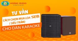 Tư vấn cách chọn mua loa sub ( siêu trầm ) cho dàn karaoke